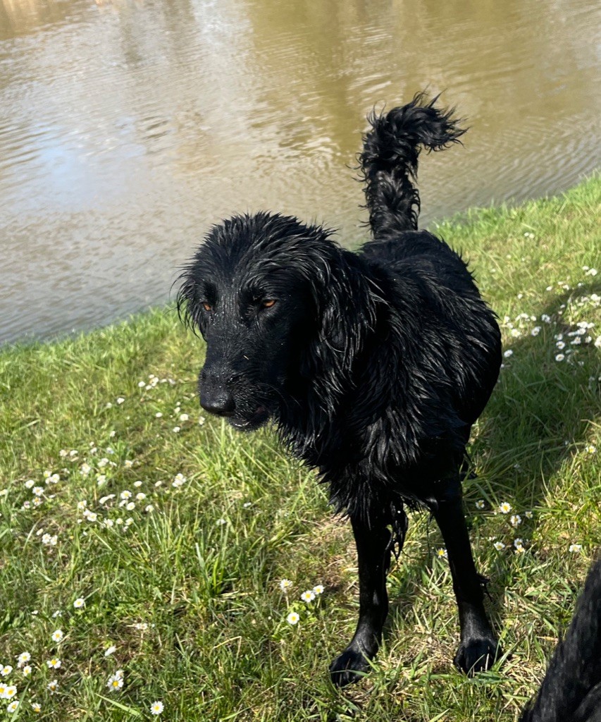 O flaguy to his dad De La Chasse Des Ballastières