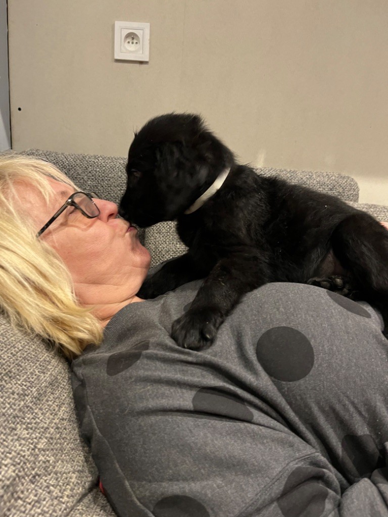 Nos bébés à reserver